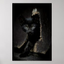 Search for green eyes black cat art Cute
