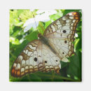 Search for jasmin magnets Nature