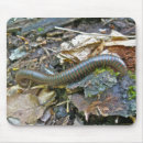 Search for infants mousepads Animal