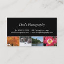 Search for seasons photography Landscape