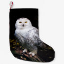 Search for owl christmas stockings Bird