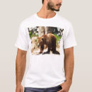 Search for brown bears tshirts For him