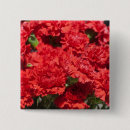 Search for carnations badges Red