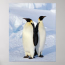 Search for antarctica posters Penguins