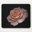 Search for koi fish mousepads Black