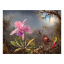 Search for martin johnson heade posters Hummingbird