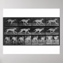 Search for 1904 art From