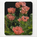 Search for papaver mousepads Poppies
