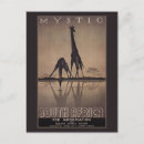 Search for south africa vintage postcards Animal