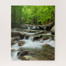 Search for pigeon puzzles River