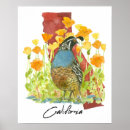 Search for game birds posters California quail