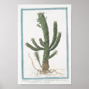 Search for vintage cactus art Wall