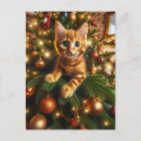 Search for christmas kitten postcards Kitty