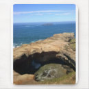 Search for otter mousepads Nature
