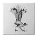 Search for bird drawing tiles Design