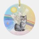 Search for tabby cat rainbow bridge Cats