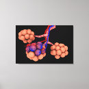 Search for circulatory system art Black background