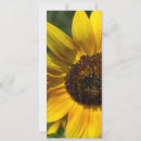 Search for bookmarks photography Flowers
