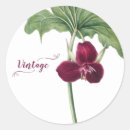 Search for trillium stickers Nature