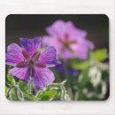Search for geranium mousepads Garden