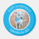 Search for happy birthday magnets White