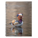Search for duck notebooks Nature