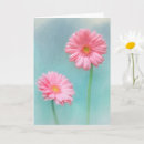 Search for gerber cards Daisy