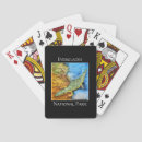 Search for predator playing cards Reptile
