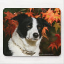 Search for bordered image mousepads Headshot