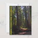 Search for redwood national park postcards Nature