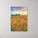 Search for poppy field canvas prints Meadow