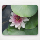 Search for lotus mousepads Nature
