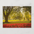 Search for festivity postcards Flower