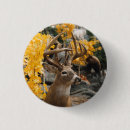 Search for deer badges Buck