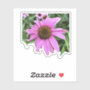 Search for purple coneflower stickers Floral