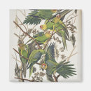 Search for birding magnets Ornithology