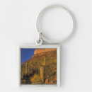 Search for pipe organs key rings Arid