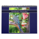 Search for parrot calendars Cute