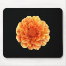 Search for eventing picture mousepads New yearâ