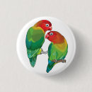 Search for pair badges Bird