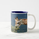 Search for giraffe photo mugs Nature