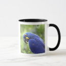 Search for wild one mugs Wilderness