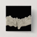 Search for cutouts badges Natural science