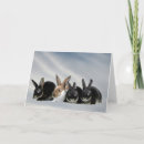 Search for animal charity cards Cute