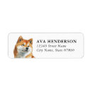 Search for shiba return address labels Dog