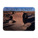 Search for forest park magnets Landscape