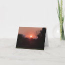 Search for pink sun postcards Trees