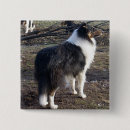 Search for tri badges Dog