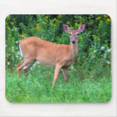Search for white tailed deer mousepads Wildlife