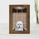Search for golden birthday cards Animal